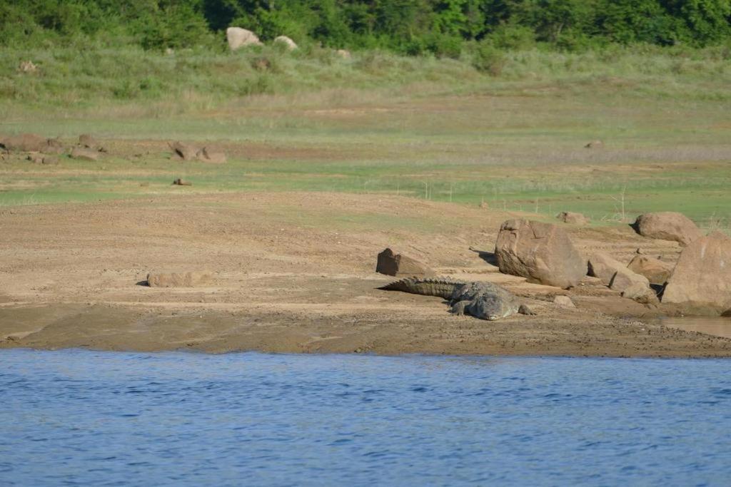 Gal Oya Lake View Inginiyagala Polwatta Exteriér fotografie